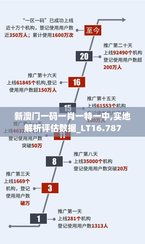 新澳门一码一肖一特一中,实地解析评估数据_LT16.787