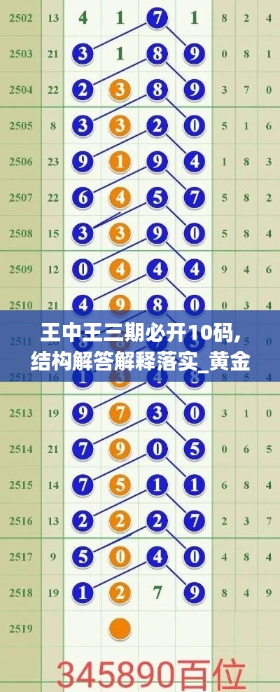 王中王三期必开10码,结构解答解释落实_黄金版40.196