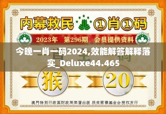 今晚一肖一码2024,效能解答解释落实_Deluxe44.465