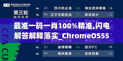 最准一码一肖100%精准,闪电解答解释落实_ChromeOS55.893