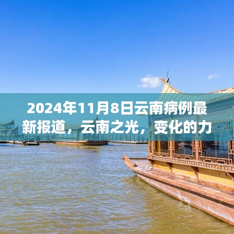 云南病例最新报道启示录，变化与知识的力量，云南之光——2024年11月8日病例分析报告