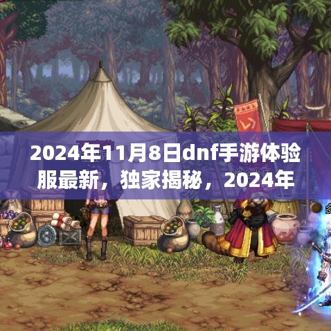 独家揭秘，2024年DNF手游体验服最新动态深度解析与独家资讯发布