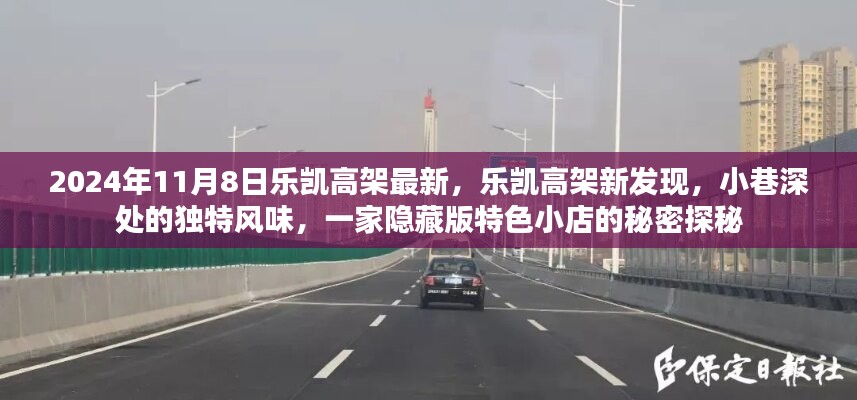 乐凯高架新发现，隐藏版特色小店探秘之旅（2024年11月8日）