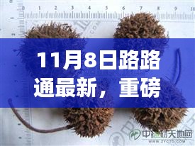 重磅揭秘，11月8日路路通最新动态前沿资讯一览