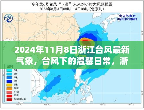 浙江台风下的温馨日常与深厚友情，最新气象与台风记忆