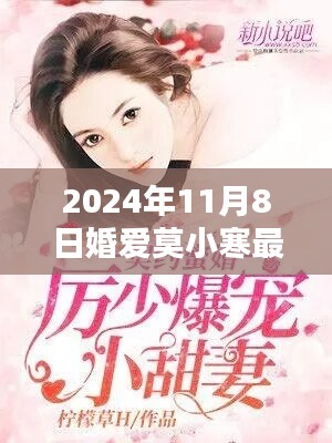 婚爱莫小寒，暖心日常的2024年11月8日新篇章