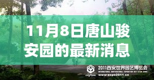 探寻自然秘境之旅，唐山骏安园最新消息，心灵觉醒之旅启程