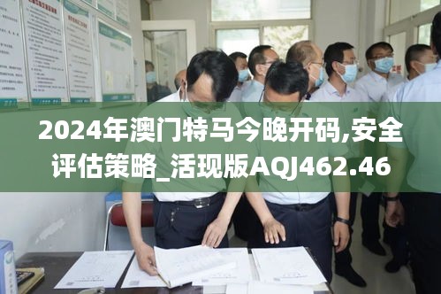 2024年澳门特马今晚开码,安全评估策略_活现版AQJ462.46