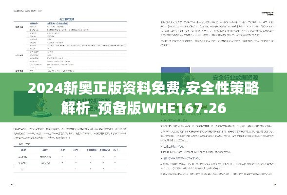 2024新奥正版资料免费,安全性策略解析_预备版WHE167.26