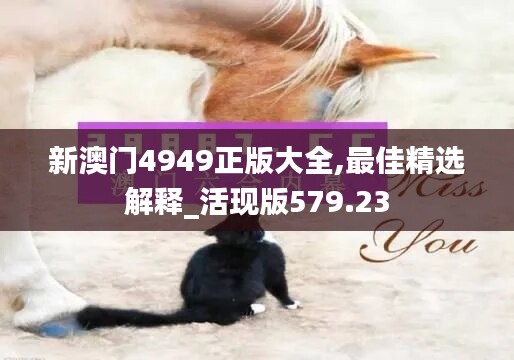 新澳门4949正版大全,最佳精选解释_活现版579.23