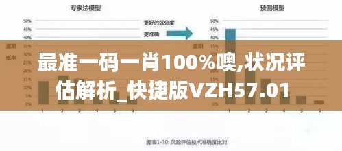 最准一码一肖100%噢,状况评估解析_快捷版VZH57.01