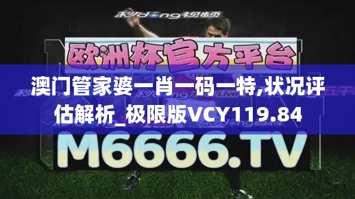 澳门管家婆一肖一码一特,状况评估解析_极限版VCY119.84