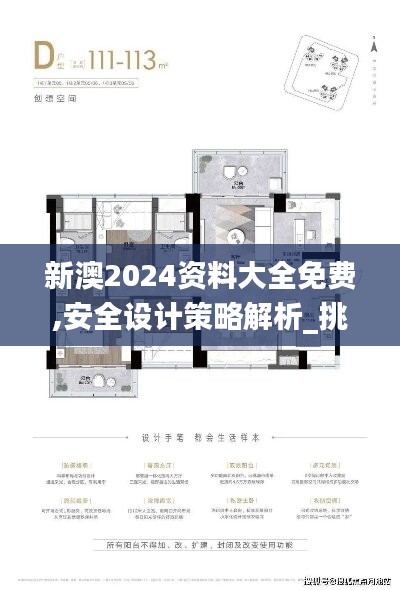 新澳2024资料大全免费,安全设计策略解析_挑战版LRU818.02