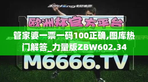 管家婆一票一码100正确,图库热门解答_力量版ZBW602.34