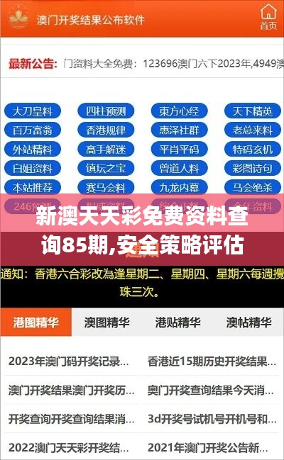 新澳天天彩免费资料查询85期,安全策略评估_驱动版DFJ736.86