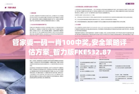 管家婆一码一肖100中奖,安全策略评估方案_智力版FKE532.87