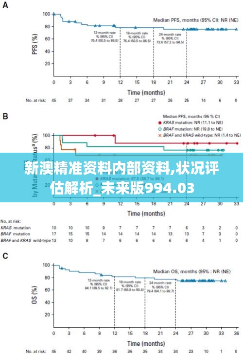 新澳精准资料内部资料,状况评估解析_未来版994.03