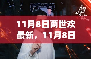 11月8日两世欢最新，多元观点下的深度探析