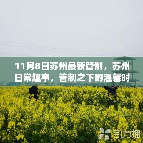 苏州最新管制下的日常趣事与温馨时光