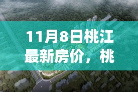 桃江最新房价测评报告，深度解析市场态势与测评报告（11月8日）