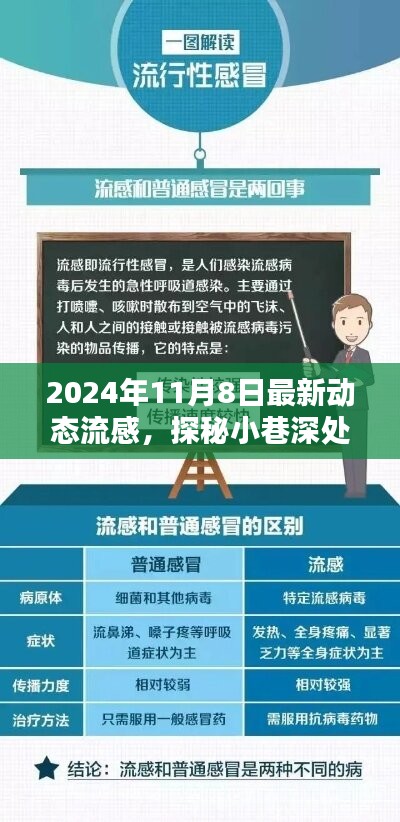 探秘小巷深处，最新动态流感新知与隐藏佳肴（2024年11月8日）