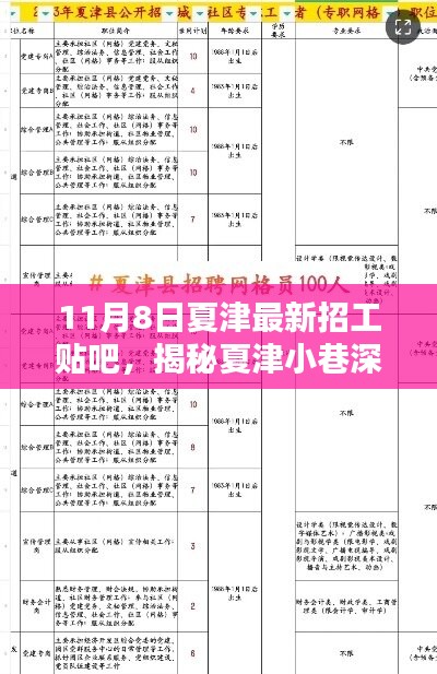 揭秘夏津隐藏宝藏，11月8日最新招工贴吧与特色小店探秘