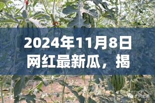 聚焦网红圈动态，揭秘网红最新瓜深度解析，一网打尽网红圈新动态（深度报道）