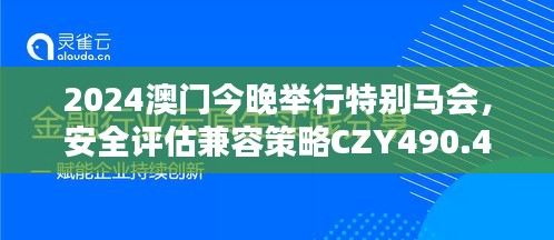 2024澳门今晚举行特别马会，安全评估兼容策略CZY490.43版