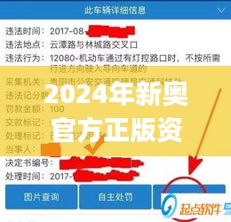 2024年新奥官方正版资料免费共享，时代资料详解及解题指南_LMQ895.43