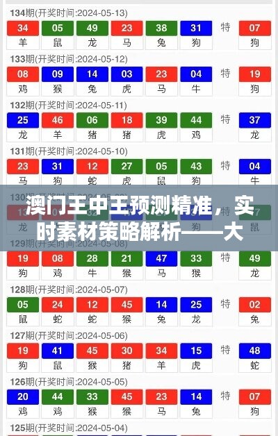 澳门王中王预测精准，实时素材策略解析——大师版BSE321.13