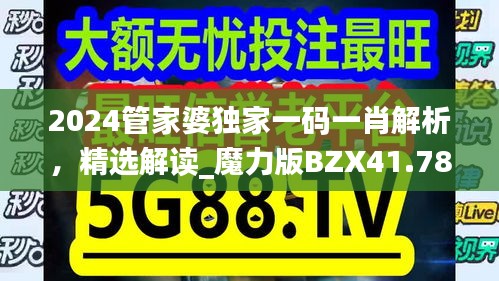 2024管家婆独家一码一肖解析，精选解读_魔力版BZX41.78