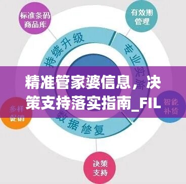 精准管家婆信息，决策支持落实指南_FIL13.87