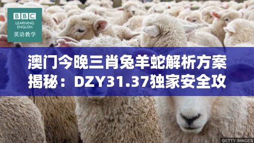 澳门今晚三肖兔羊蛇解析方案揭秘：DZY31.37独家安全攻略