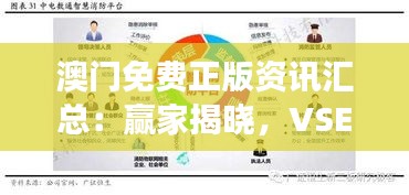 澳门免费正版资讯汇总：赢家揭晓，VSE261.31版智慧解读