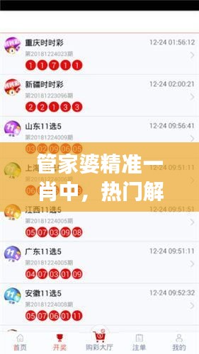 管家婆精准一肖中，热门解答解读——SAY42.5个人版新篇