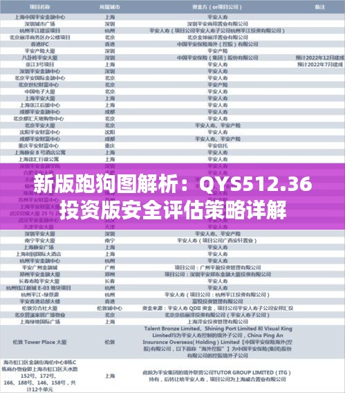 新版跑狗图解析：QYS512.36投资版安全评估策略详解