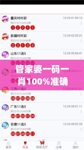 管家婆一码一肖100%准确，顶级精选解析_大师秘籍MEQ484.91