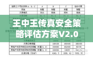 王中王传真安全策略评估方案V2.0-ZIQ477.17自在版