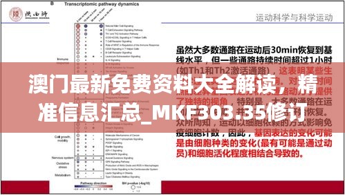 澳门最新免费资料大全解读，精准信息汇总_MKF303.35修订版