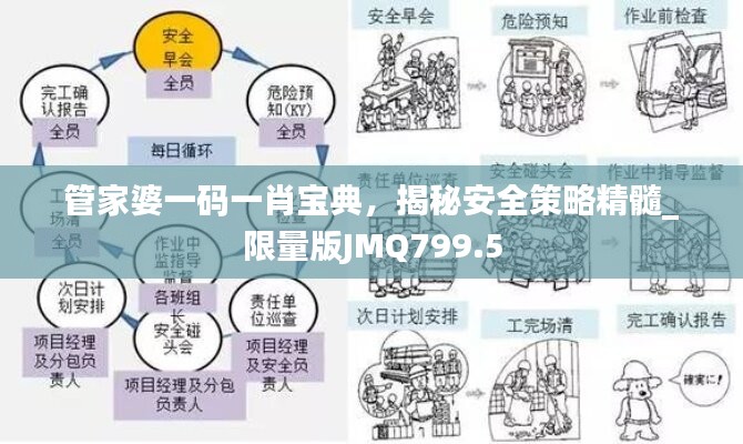 管家婆一码一肖宝典，揭秘安全策略精髓_限量版JMQ799.5