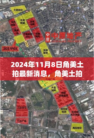 角美土拍新篇章启示录，自信成就未来，学习变化引领未来之路（2024年11月8日最新消息）