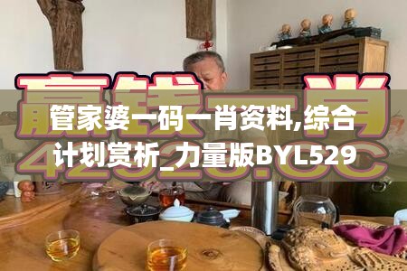 管家婆一码一肖资料,综合计划赏析_力量版BYL529.73