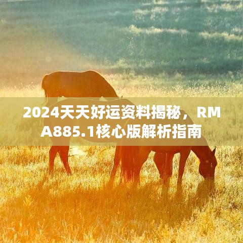 2024天天好运资料揭秘，RMA885.1核心版解析指南