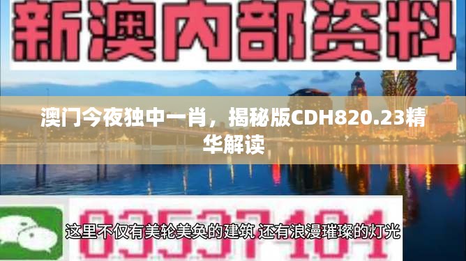 澳门今夜独中一肖，揭秘版CDH820.23精华解读