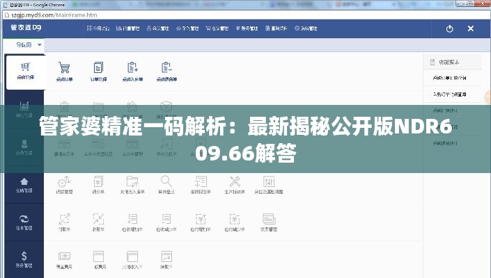 管家婆精准一码解析：最新揭秘公开版NDR609.66解答