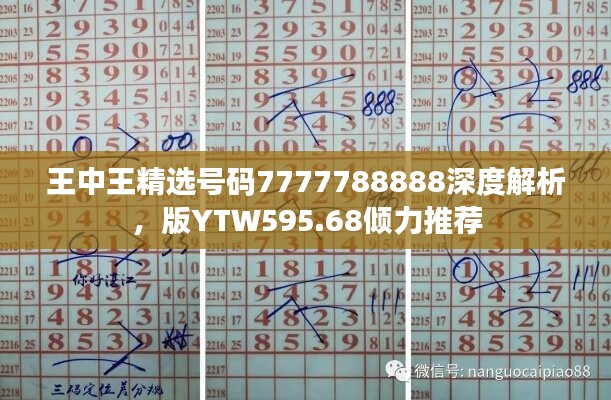 王中王精选号码7777788888深度解析，版YTW595.68倾力推荐