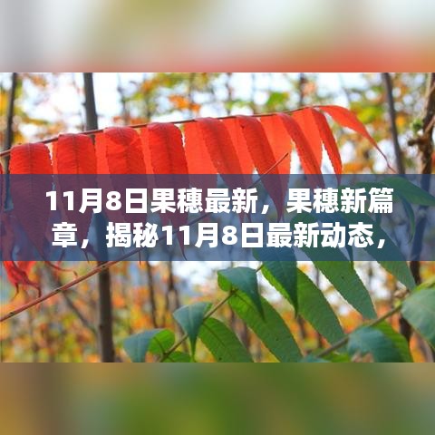 揭秘果实世界新篇章，11月8日果穗最新动态探索鲜为人知的果实世界