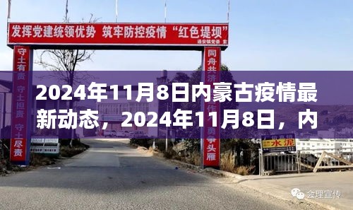 2024年11月8日内豪古地区疫情最新动态分析报告