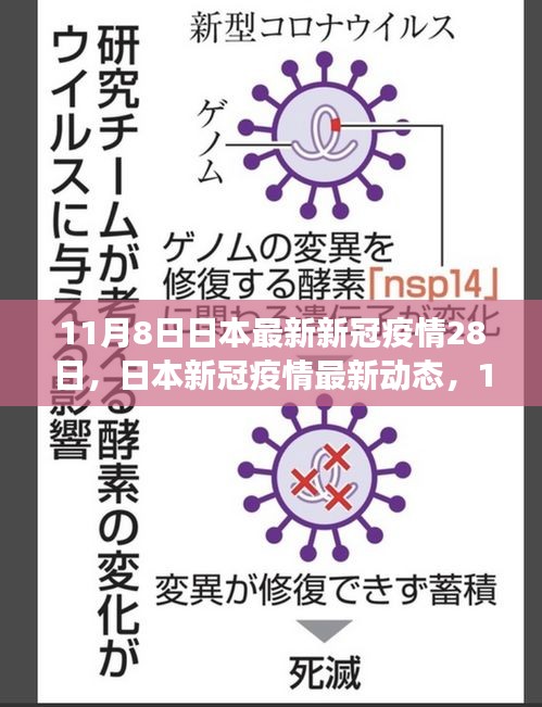 日本新冠疫情深度观察，11月动态与影响分析