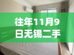 揭秘往年11月9日无锡二手房市场风云，小巷特色小店与最新房价探秘